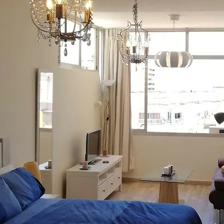 Appartement Large Studio
